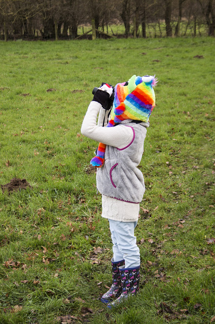 An Extra Colourful Little Lady Searching for Birds