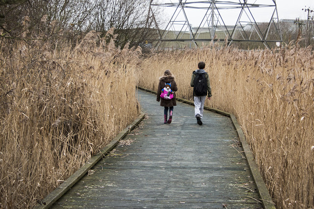 Tubs and the Little Lady wandering along the board walks of Rainham Marshes