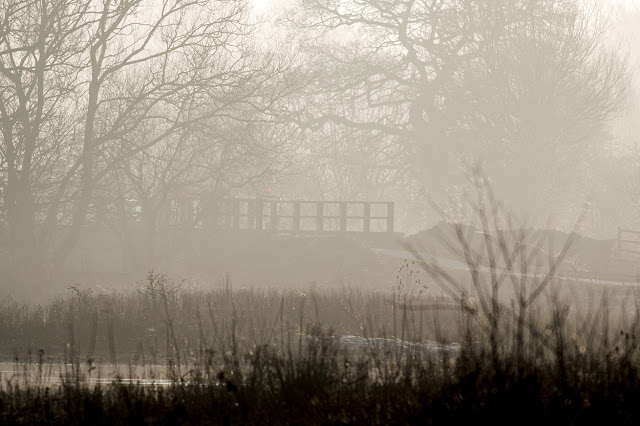 Bridge in the Mist