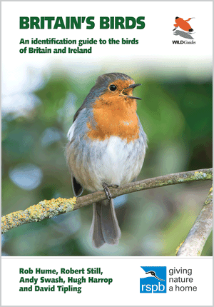Britains Birds - Review (Cover image)