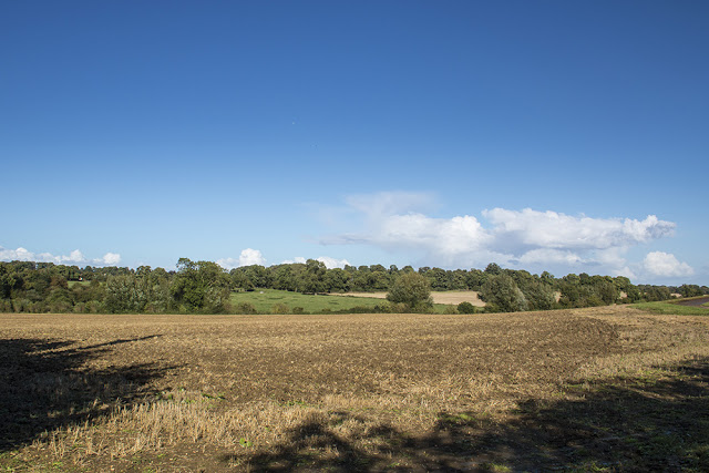 Fields at Old Stratford
