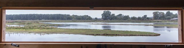 Views From the Hide Window