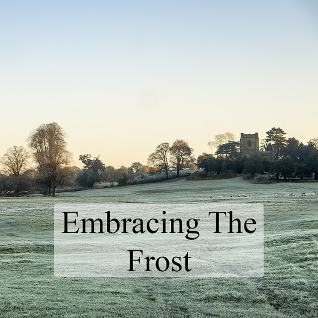 Embracing the Frost - A walk around the Floodplain Forest Nature Reserve in Milton Keynes in the frost