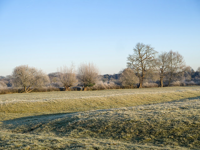 Frosty fields - you can see the ancient furrows of this field clearly here.