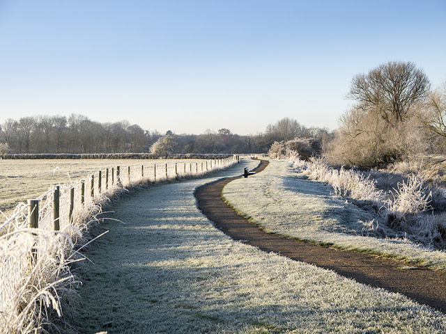 A Frosty Path