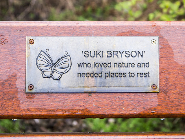 Suki's memorial bench