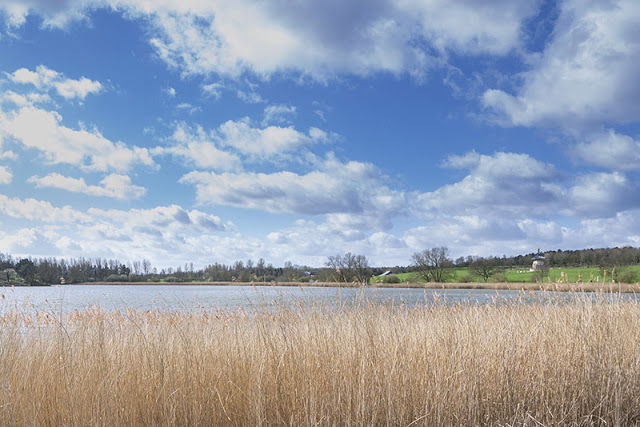 View over Willen Lake North
