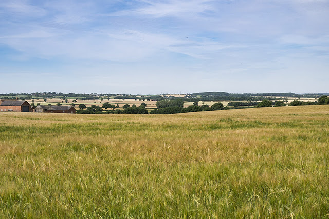 View from the North Bucks Way